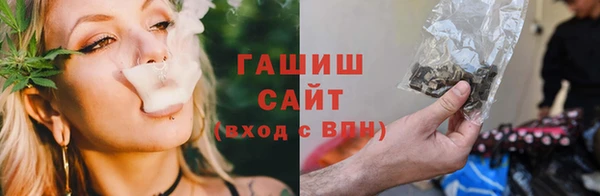 гашик Богородск