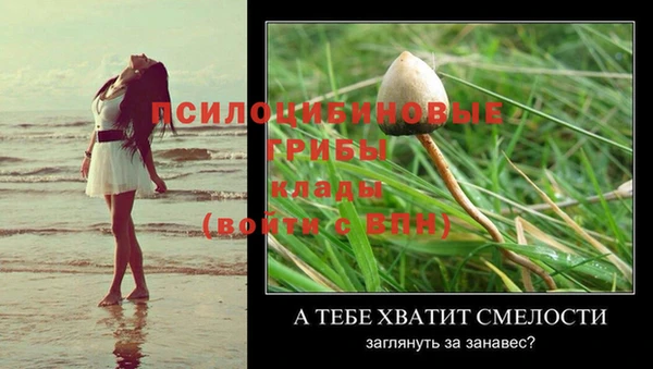 кокаин VHQ Богданович