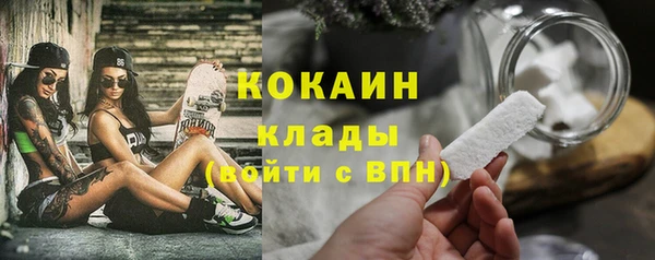 гашик Богородск