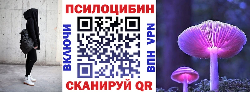 Псилоцибиновые грибы GOLDEN TEACHER  Бронницы 